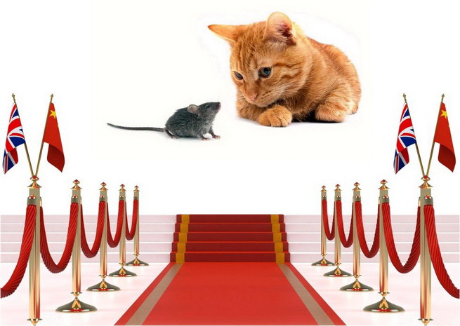 Кошки-мышки по-британски, или Операция «кидай Китай»